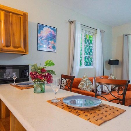 Musgrave Annex- Comfy 1 Bedroom Apartment On The Ground Floor 金斯敦 外观 照片
