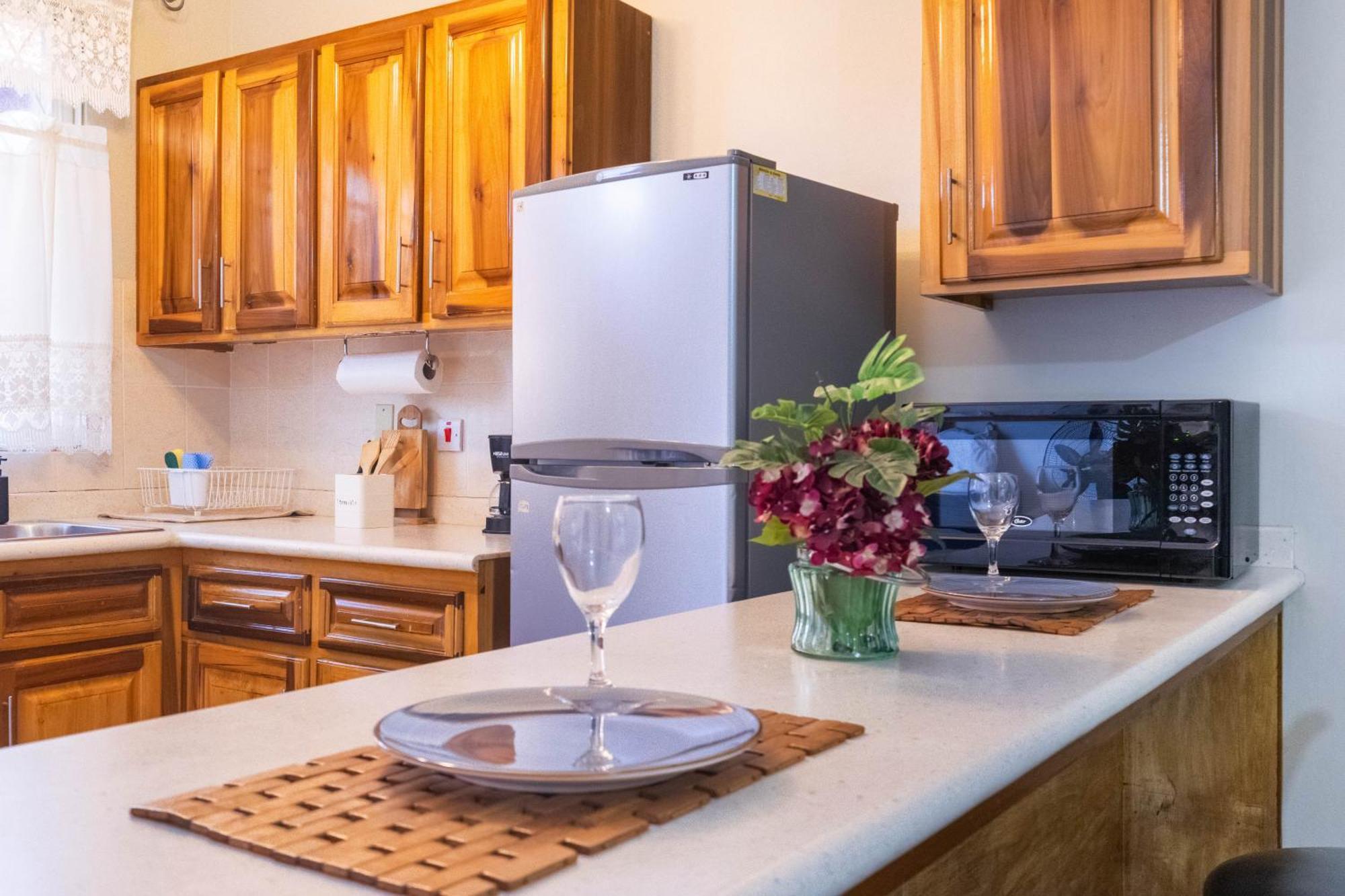 Musgrave Annex- Comfy 1 Bedroom Apartment On The Ground Floor 金斯敦 外观 照片